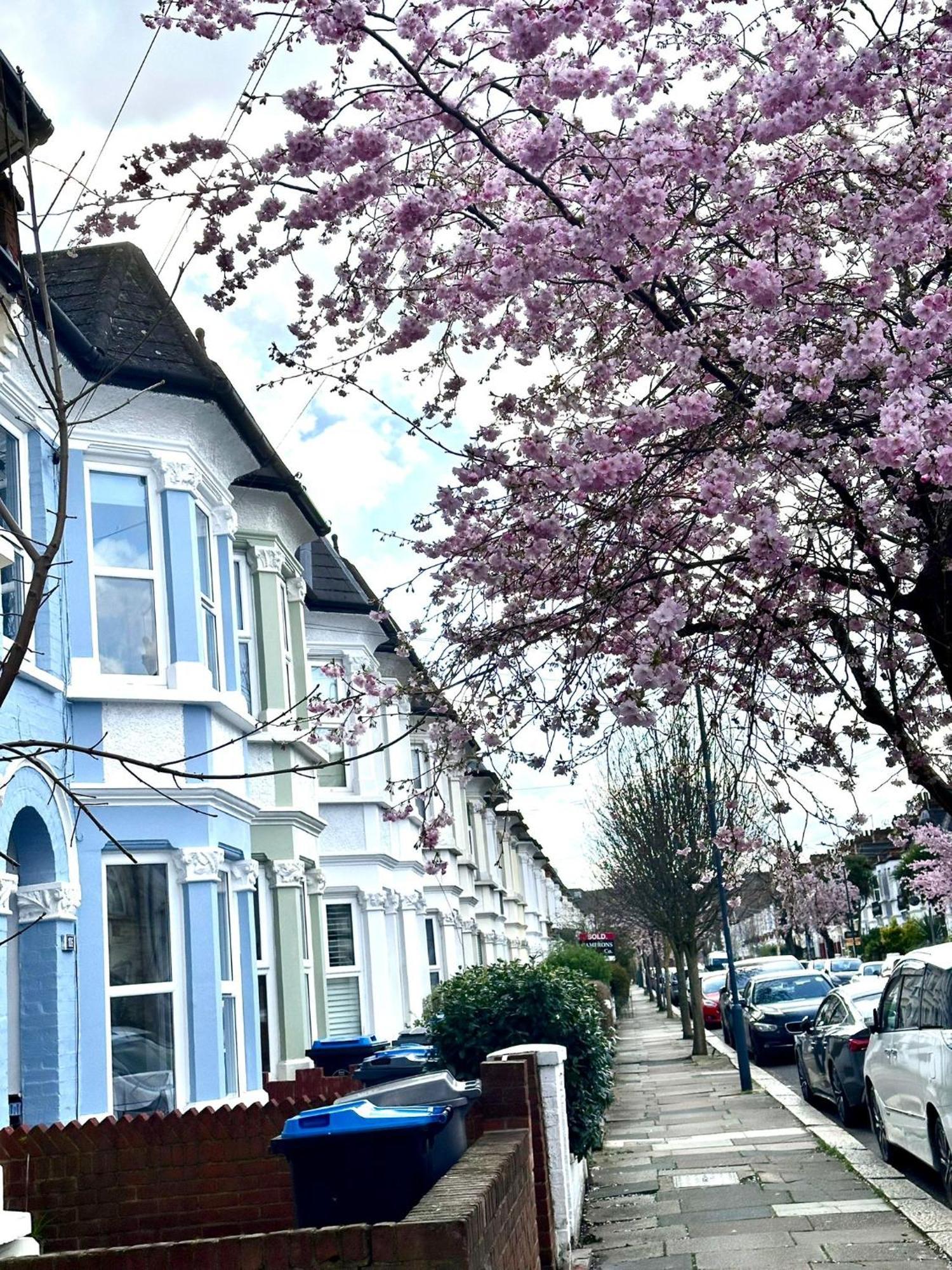 Charming, Renovated Residence In Willesden Green London Exterior foto